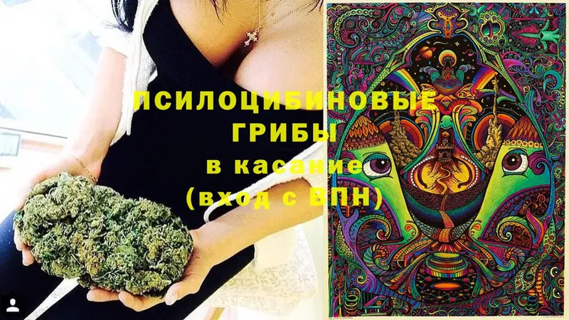 Галлюциногенные грибы Cubensis  ссылка на мегу сайт  Правдинск 